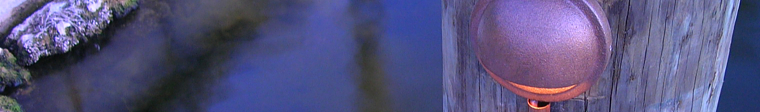 a jpg