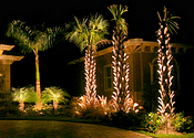 Clime5 LED landscape lighting Shadow Wood Preserve Community Fort Myers Florida home