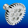 Retrofit LED PAR30 Lamp